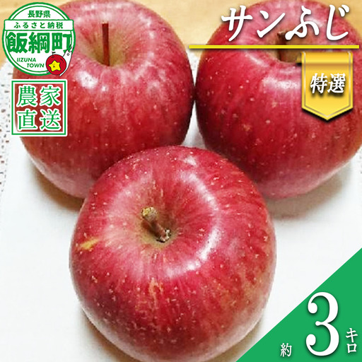りんご サンふじ 特選 3kg やまじゅうファーム 沖縄県への配送不可 2026年12月中旬頃から2026年12月下旬頃まで順次発送予定 令和8年度収穫分 信州の環境にやさしい農産物 減農薬栽培 長野県 飯綱町 [0533]