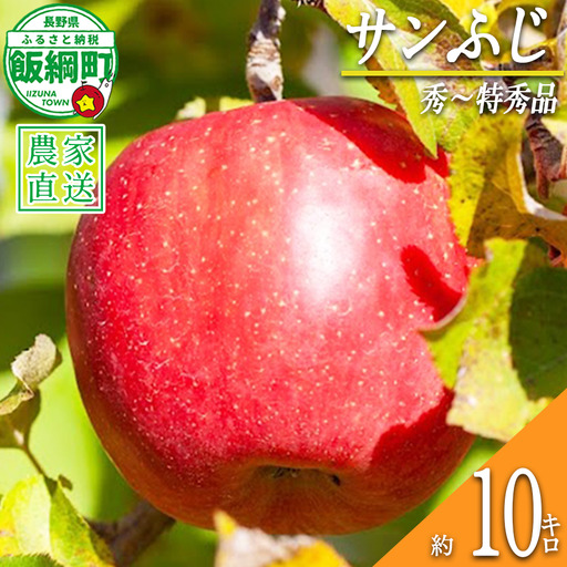 りんご サンふじ 秀 ～ 特秀 10kg 松澤農園 2026年11月下旬頃から2027年2月上旬頃まで順次発送予定 令和8年度収穫分 長野県 飯綱町 [1067]
