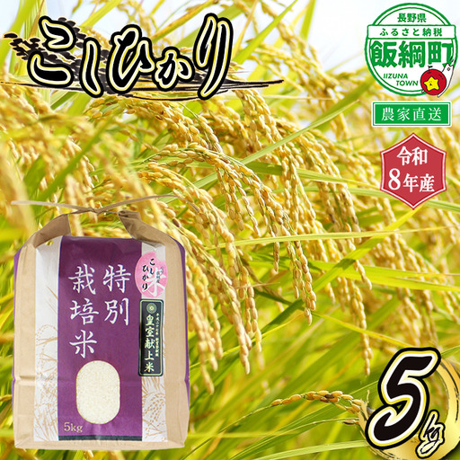 米 こしひかり 5kg ( 令和8年産 ) 特別栽培米 仲俣農園 2026年10月上旬頃から順次発送予定 コシヒカリ 「 宮古島の雪塩 」 使用 白米 精米 お米 数量限定 信州 予約 農家直送 長野県 飯綱町 [0907]