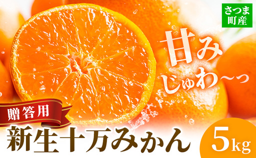 鹿児島県産 新生十万みかん 贈答用 約5kg 祝迫果樹園[1月中旬-2月中旬頃出荷]鹿児島県 さつま町 みかん 十万みかん 蜜柑 柑橘 果物 くだもの フルーツ ジューシー