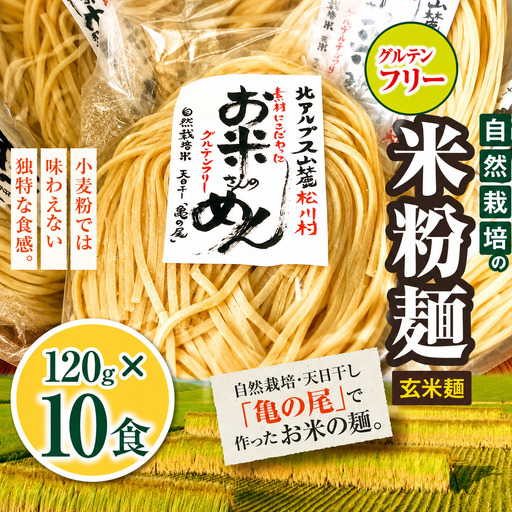 グルテンフリ— 自然栽培の 米粉麺 （ 玄米麺 ）120g× 10食 ｜ お結び自然農縁