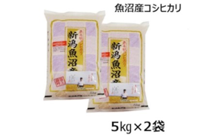※使用しない r05-017-007 魚沼産コシヒカリ　5㎏×2袋（10㎏）（安達農場）白米 魚沼 米