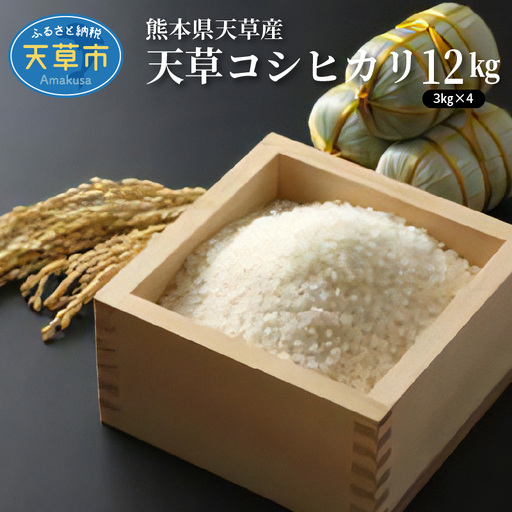 S109-004A_〈令和8年産〉熊本県天草産 天草コシヒカリ12kg（3kg×4） 【先行予約】 新米 令和8年産 コシヒカリ 12kg 精米 3kg × 4袋 単一原料米 国産 米 お米 白米 甘み 香り ツヤ 粘り バランス 美味しい ごはん おにぎり 弁当 おむすび 土作り こだわり 小分け 冷蔵庫 保管可能 お取り寄せ 食品 九州 熊本県 天草市 送料無料