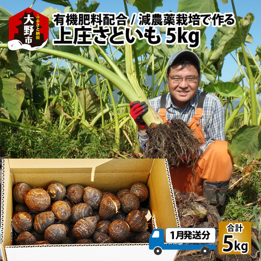 【先行予約】【1月発送分】満天☆上庄産さといも5kg 日本一の味をめざし、有機肥料配合、減農薬栽培の「独自栽培」で作る里芋[A-005001_03]