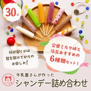 [予約受付]アイスキャンディー おまかせ6種 30本 保存料不使用 卵不使用 シャンデー モア松屋