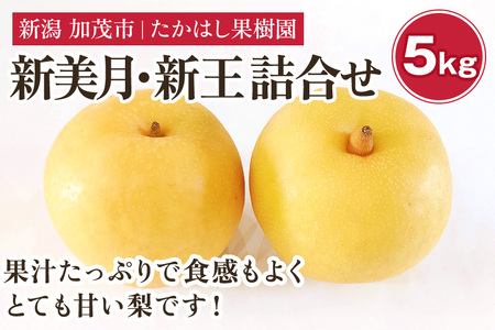 【2026年先行予約】たかはし果樹園 謹製 新潟県産和梨 新美月 新王 2品種詰め合わせ 約5kg《9月中旬～順次配送》