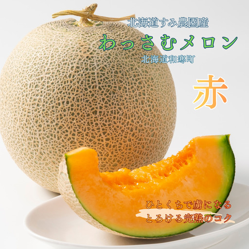 [ふるさと納税]≪令和8年産予約≫わっさむ産メロン(赤肉2玉)[7〜8月お届け]