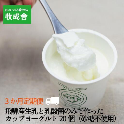 [牧成舎定期便 3カ月]生乳100% 砂糖不使用プレーンヨーグルト20個 ヨーグルト