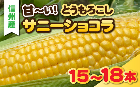 サニーショコラ　15～18本セット | とうもろこし