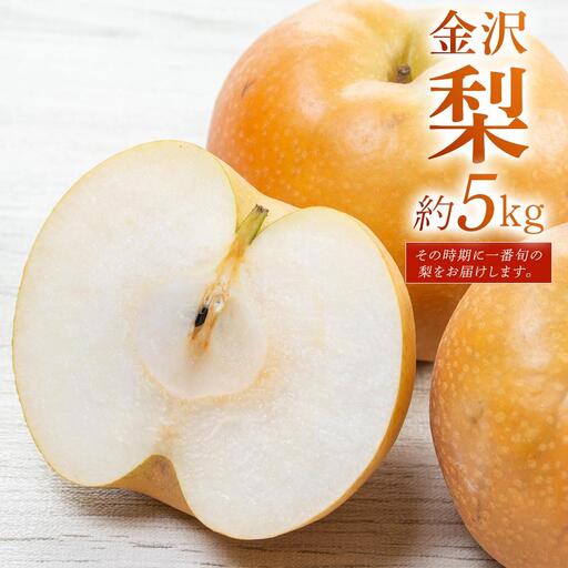 梨 [2026年予約受付]金沢梨 5kg JA金沢市