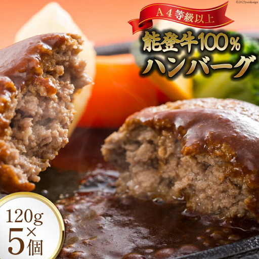 ハンバーグ 特選能登牛(A4等級以上)100%ハンバーグ 120g 5個 計600g 冷凍