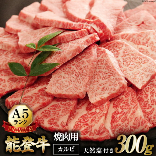 【てらおかの能登牛】極上能登牛カルビ(A5P)焼肉用(300g)