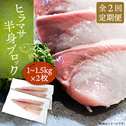 【全2回定期便】壱岐産 ヒラマサ フィレ 2kgから3kg（半身×2枚・刺身用）[JDT071]