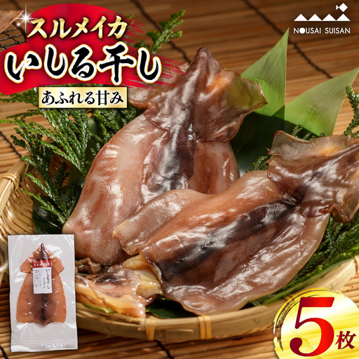 能登 船凍スルメイカ いしる干しセット 5枚