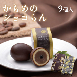 かもめのショコらん 9個入