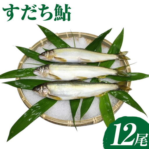 すだち鮎 12尾 