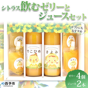 シトラス飲むゼリーとジュースセット