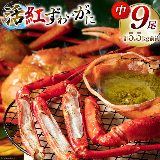 【能登半島 漁協直送 3月以降発送】 活 紅ズワイガニ 9尾(中サイズ) 計 5.5kg 前後