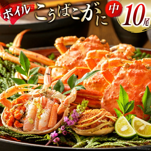 【期間限定発送】【能登半島 漁協直送！】ボイル済 香箱ガニ 10尾