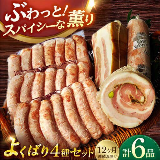 【6点×12回定期便】ハム詰合せ よくばり ソーセージ3袋＋3品 [EAM049]  無添加ベーコン ハムソーセージ 生ソーセージ 国産 ハム詰め合わせ 定期便