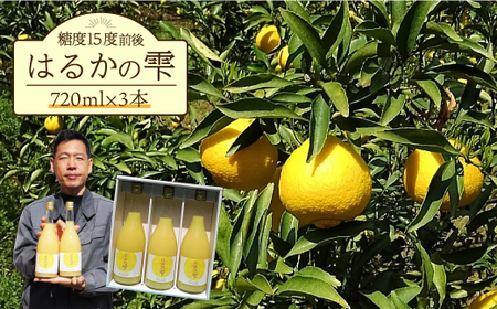はるかの雫3本[EAZ002] みかん ミカン ジュース 果物 フルーツ