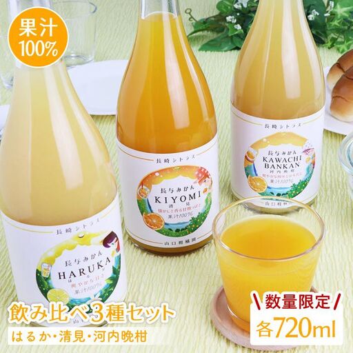【数量限定】果汁 100％ジュース 飲み比べ 3種セット（はるか・清見・河内晩柑）各720ml [EBC001]