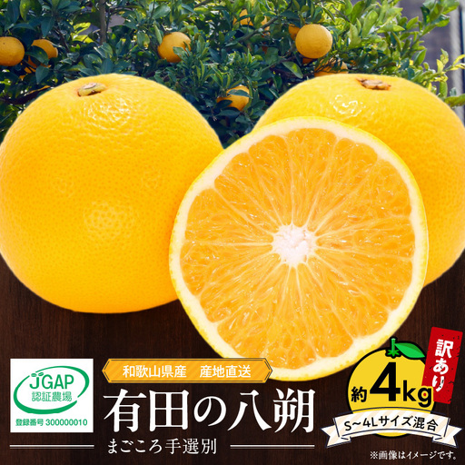 【2027年先行予約】和歌山県産 有田の八朔 (はっさく)【訳あり 家庭用】約4kg【S～4Lサイズ混合】まごころ手選別 _ZE6379n
