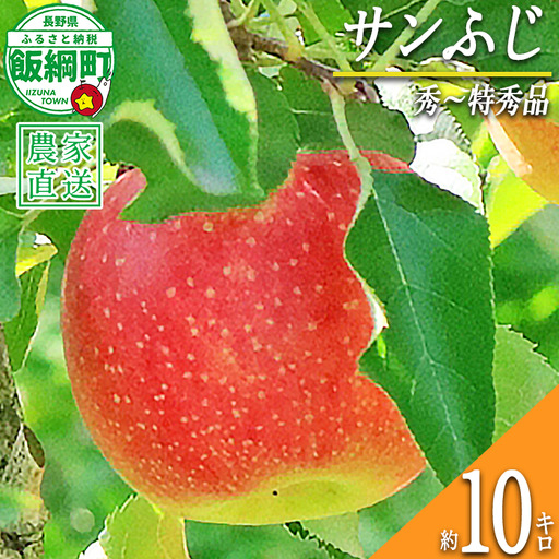 りんご サンふじ 秀 〜 特秀 10kg 永正の地蔵尊神谷農園 2026年12月上旬頃から2027年2月上旬頃まで順次発送予定 令和8年度収穫分 信州 果物 フルーツ リンゴ 林檎 長野 予約 農家直送 長野県 飯綱町 [0312]