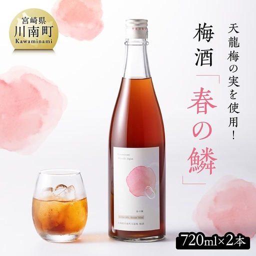 天龍梅の実を使用！オリジナル梅酒「春の鱗」（720ml×2本） 梅酒 お酒