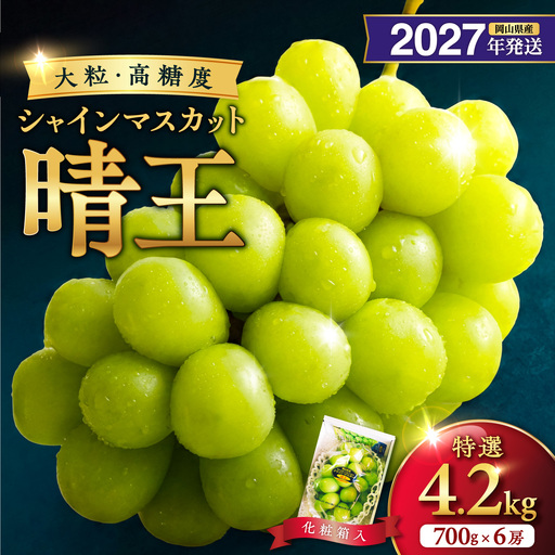 2027年発送 岡山県産シャインマスカット 晴王 特選 大房 化粧箱入 約700g×6房 【シャインマスカット】