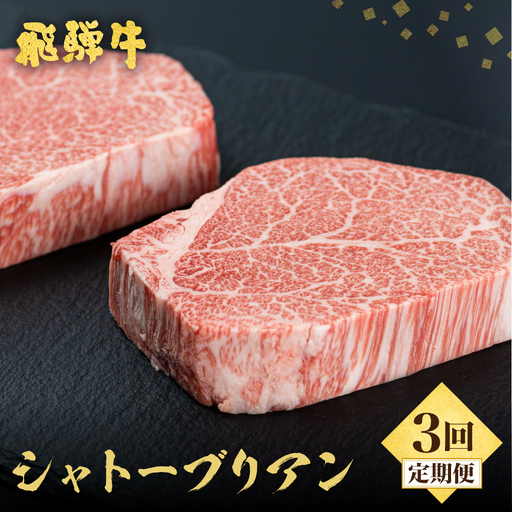 [3回定期便]5等級飛騨牛シャトーブリアン [Q1120nx] シャトーブリアン
