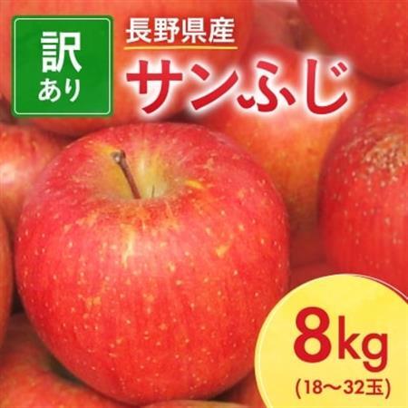 【先行受付】長野県産 サンふじ りんご 家庭用 訳あり 8kg(18～32玉)【1449697】