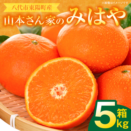 【先行予約】 みかん 八代市東陽産 山本さん家の「 みはや 」 5kg みかん【2026年12月上旬より順次発送】