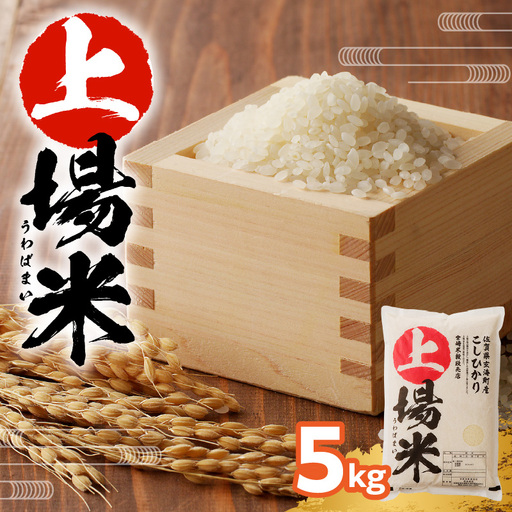 佐賀県玄海町産こしひかり 上場米 5kg / コシヒカリ[A014]