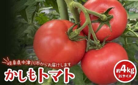 食べて実感 濃い味かしもトマト約4kg 東美濃農業協同組合【期間限定　選果場直送！】 F4N-1961