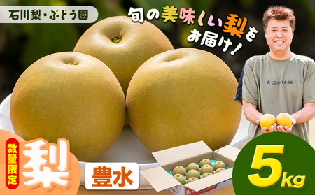 [先行予約・数量限定]豊水 梨 5kg 石川梨・ぶどう園 果物 フルーツ 贈り物 お取り寄せ フルーツ [配送不可地域あり](離島)