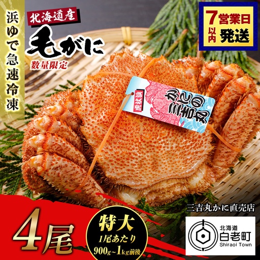 【特大】北海道産 冷凍ボイル毛ガニ (900g-1kg前後) 4尾 AS122
