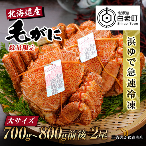 【大サイズ】北海道産 冷凍ボイル毛ガニ (700g-800g前後) 2尾 AS193