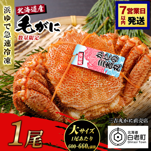【大サイズ】北海道産 冷凍ボイル毛ガニ (600g-660g前後) 1尾 AS171