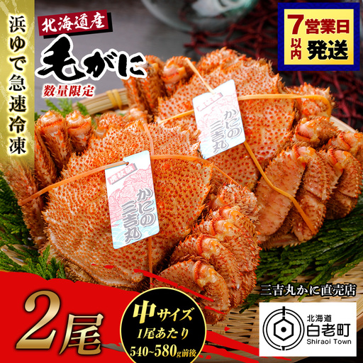 【中サイズ】北海道産 冷凍ボイル毛ガニ (540g-580g前後) 2尾 AS184