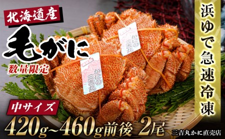 【中サイズ】北海道産 冷凍ボイル毛ガニ (420g-460g前後)2尾 AS081