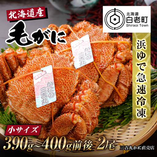 【小サイズ】北海道産 冷凍ボイル毛ガニ (390g-400g前後) 2尾 AS084