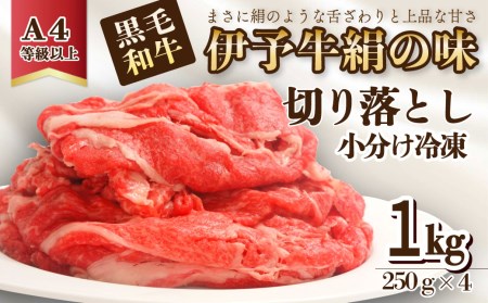 伊予牛絹の味_切り落とし250g×4(冷凍)_1kg|黒毛和牛A4〜A5 小分け 愛媛県産