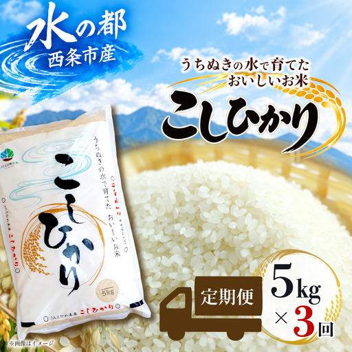【新米】 【定期便3ヶ月】 令和8年産 コシヒカリ 5kg×3回 新米