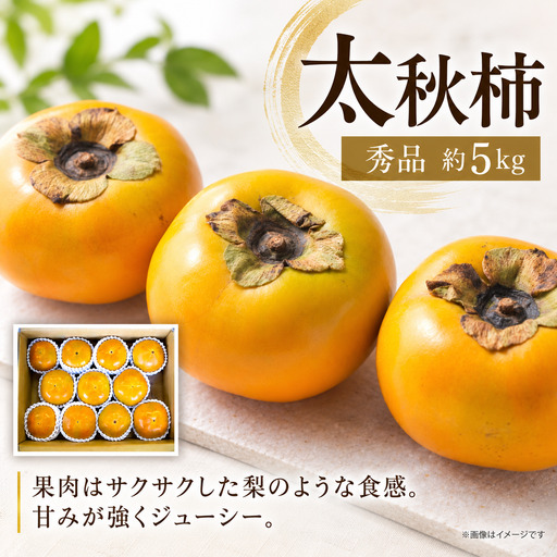 太秋柿（秀品）約５kg 10月発送 ｜ 大玉甘柿