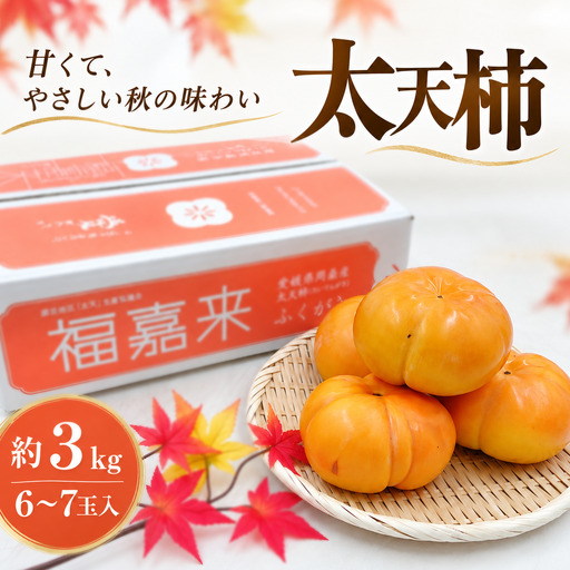 太天柿 6〜7玉 約3kg (JA東予園芸)[先行予約]渋抜き柿