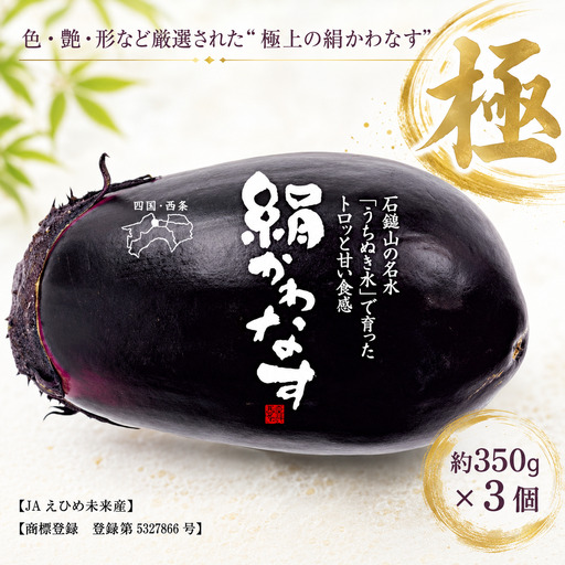 絹かわなす(極) 約350g×3個| 丸なす ナス 茄子 野菜 伝統野菜