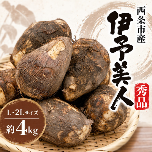 里芋 伊予美人 秀品約4㎏（L~2Lサイズ）【先行予約】西条市産さといも