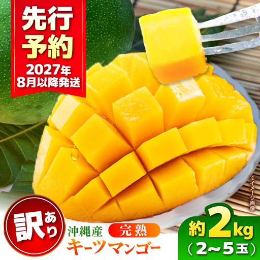 マンゴー 【2027年発送】 訳あり キーツマンゴー 約2kg (2～5玉) マンゴー 沖縄 BCAA005