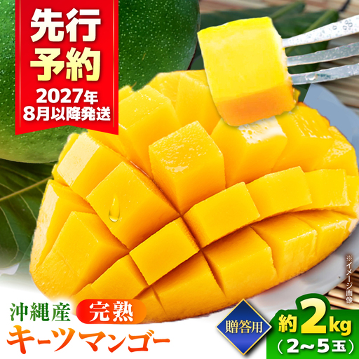マンゴー 【2027年発送】 贈答用 キーツマンゴー 約2kg (2～5玉 / 化粧箱入り) マンゴー 沖縄 BCAA006